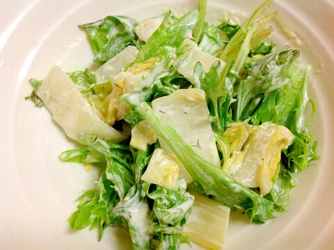 白菜の浅漬けと水菜とレタスのサラダ
